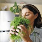 7 Tips Mengembalikan Indra Penciuman yang Melemah